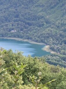 LJETOPIS 2025. (4) – “Neprilagođeni” i pet malih kučića
