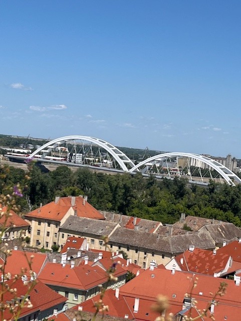 LJETOPIS, DRUGI DIO – GORAN SARIĆ